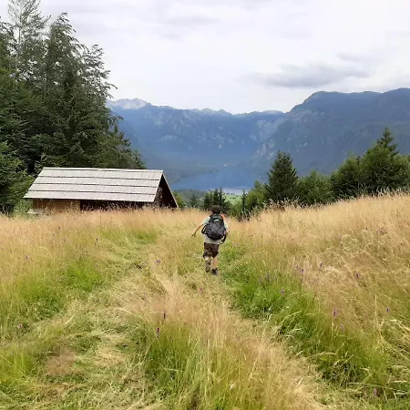 Pr Dobravc * Bohinj