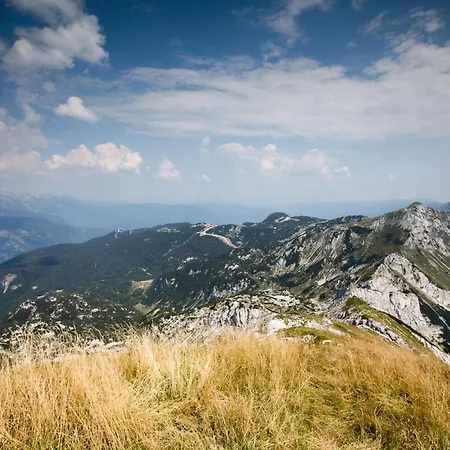 Chalet Pr Dobravc Bohinj