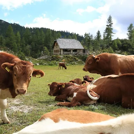Pr Dobravc Bohinj