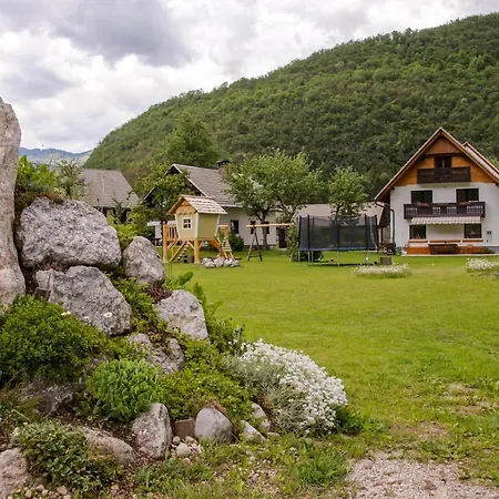 Pr Dobravc בוהין